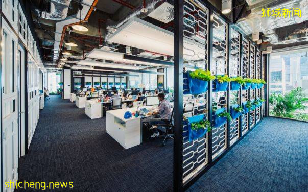 疫情之下淡马锡爱招外国人?何晶女士霸气回应:坚持精英制度