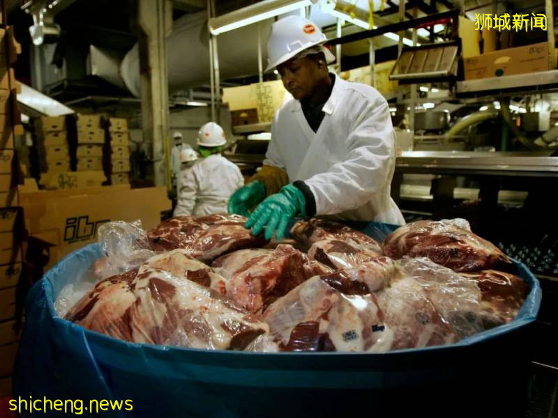 德國、美國肉類工廠確診破1000、百事中國8人確診!新加坡進口食品還安全嗎