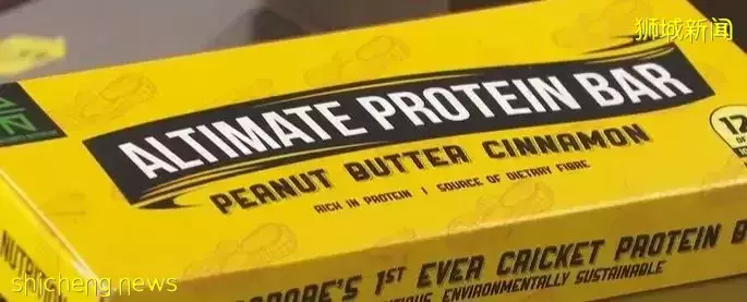 在新加坡很快将吃到昆虫制作的高蛋白食品？大家敢尝试么