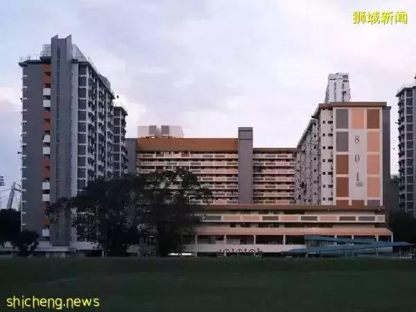 在新加坡陪老公读博士的高学历妈妈,能找到什么样的工作