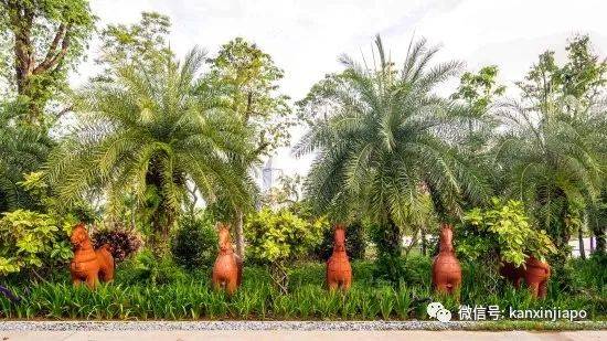 【下周活动】新加坡动物园门票75折+5新币餐券!A&F清仓半价