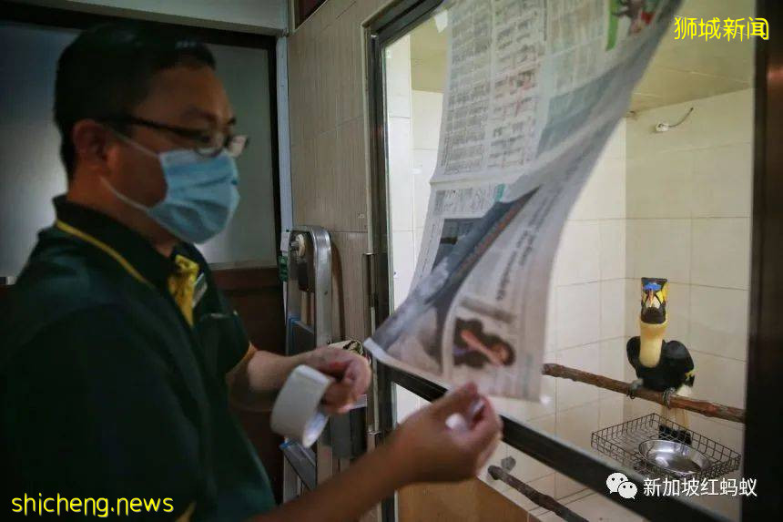 新加坡飛禽公園設有禽類專科醫院　裏面的“病人”最輕5克最重50公斤