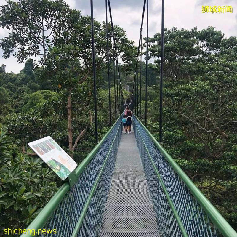 美如畫卷的新加坡，等你來!