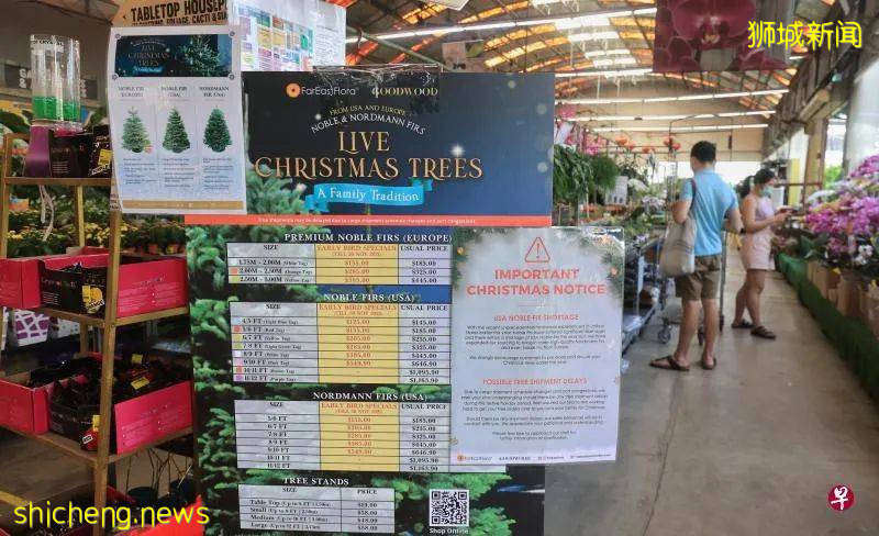 全球供应链陷危机 消费者提早两个月订圣诞树