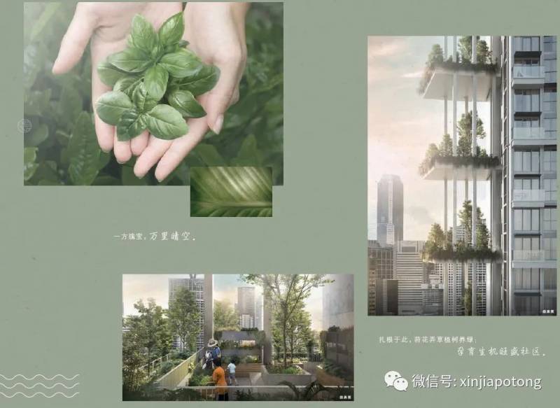 新币兑人民币暴跌!听说这几天入境新加坡的中国“游客”,可能是为了这件事