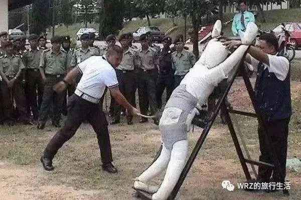 新加坡旅行日记（四）