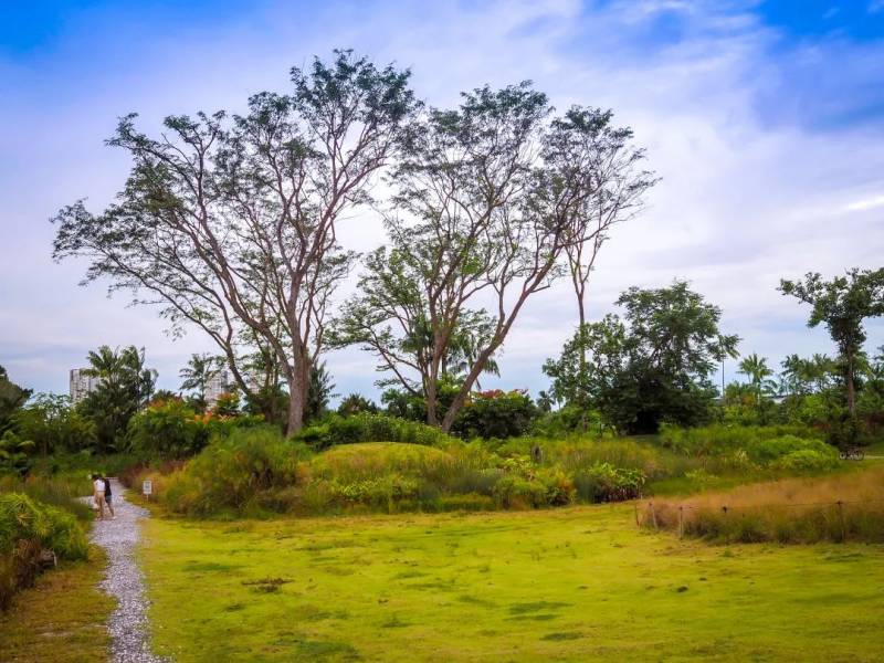 NTU 周邊的絕美拍照聖地,你不想去打卡嘛