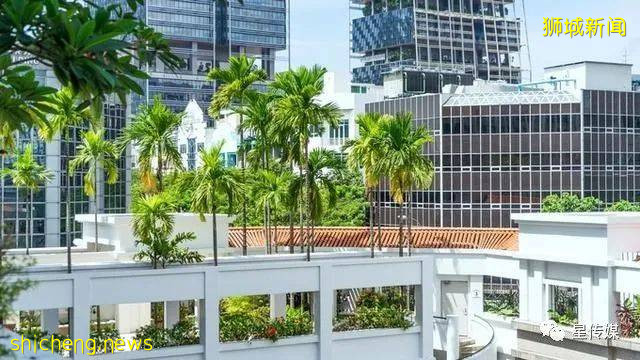 多味缤紛新加坡，旅遊攻略收藏貼