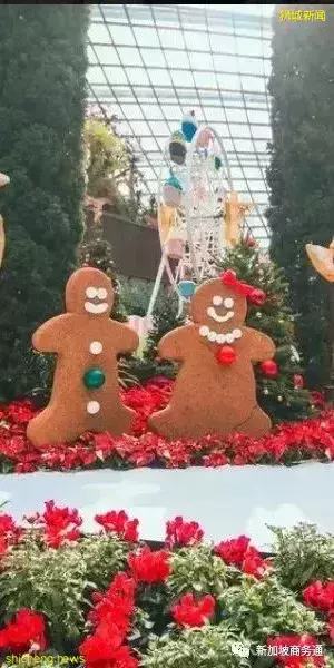 不容错过的圣诞全攻略,让你和家人一起渡过一个喜悦的节日