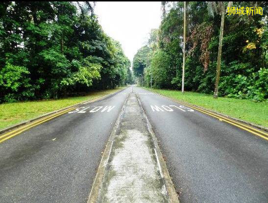 周末了,是時候環遊世界了,新加坡小桂林了解一下