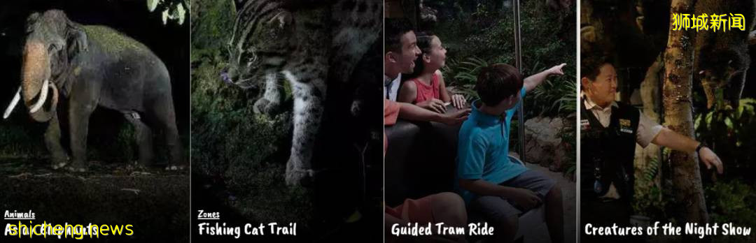 趣味資訊 驚呆了！你不知道的新加坡冷知識，看完長見識