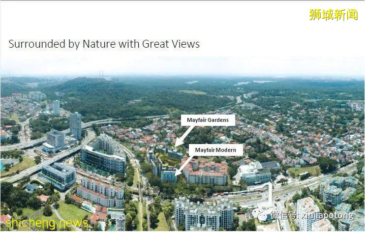 發生了什麽？新加坡阻斷期間大筆資金流入!