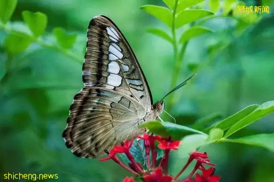 盤點最適合親子遊的20間酒店！玩得舒服，住得過瘾