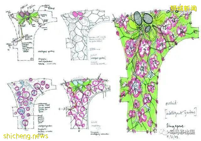 新加坡“花園中的城市”，看看這些巨樹參天的新奇景觀!