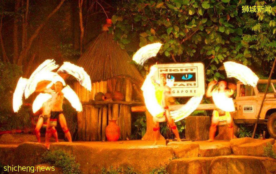 新加坡夜色玫瑰—夜间动物园