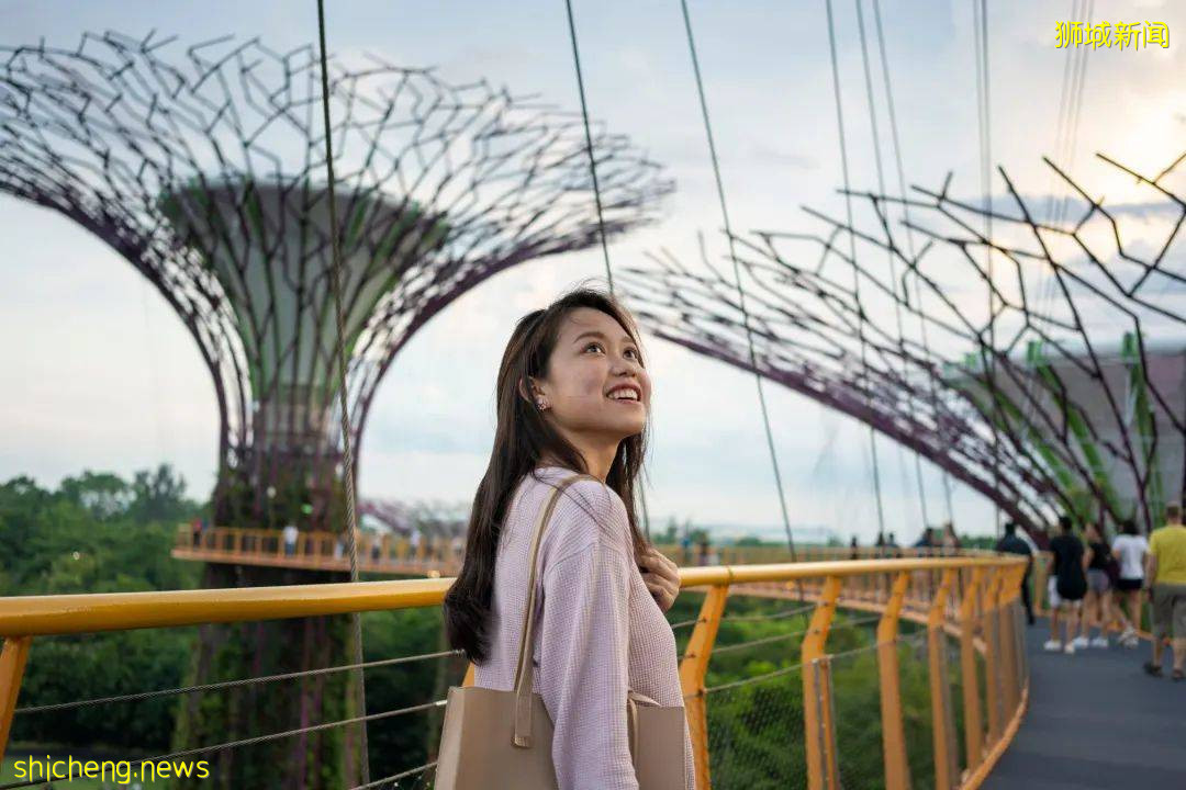 國際學生服務中心（ISO）職能服務大公開