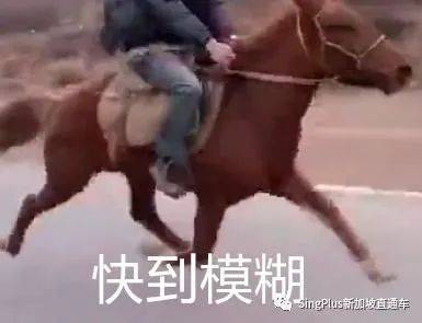 慘!投資虛擬貨幣,新加坡婦女痛失250萬新幣