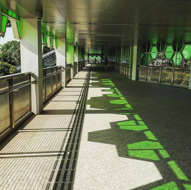 一大波美图来袭~新加坡最美地铁站