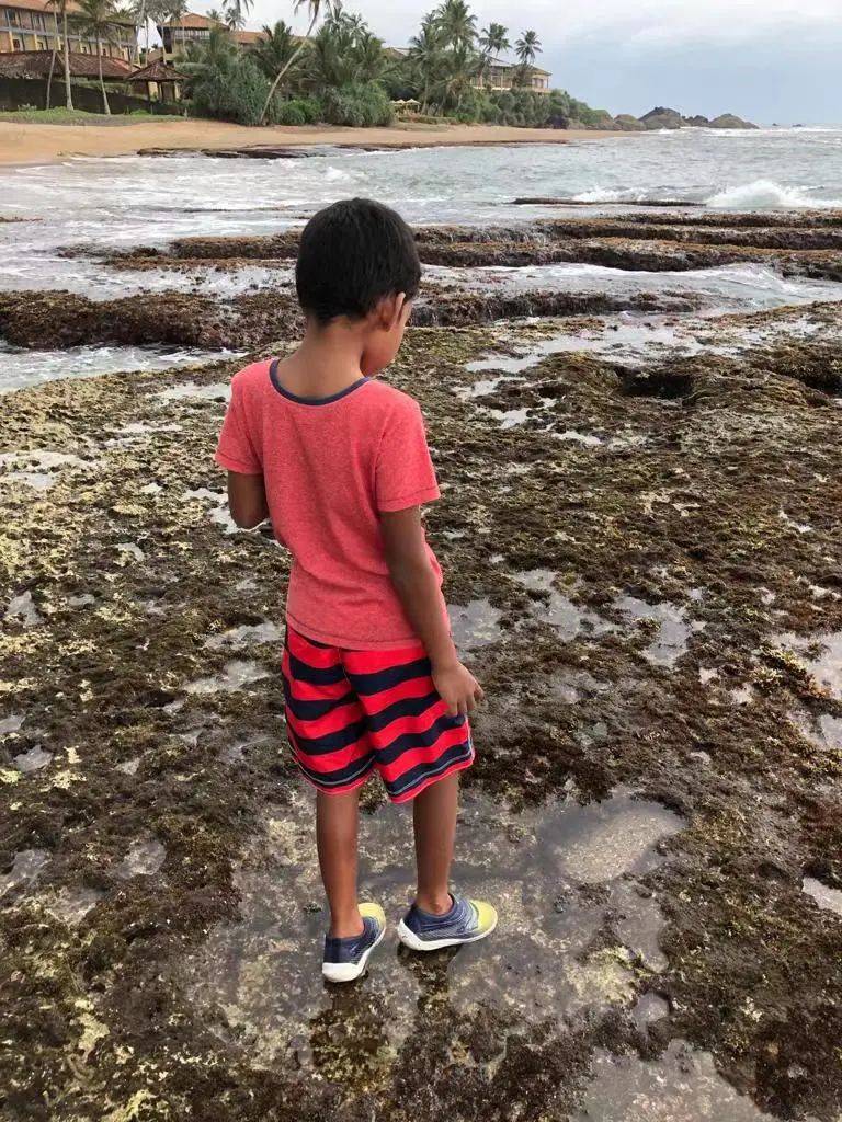 这位新加坡自闭症男孩,一动手就感动了全世界,预测这会刷爆朋友圈