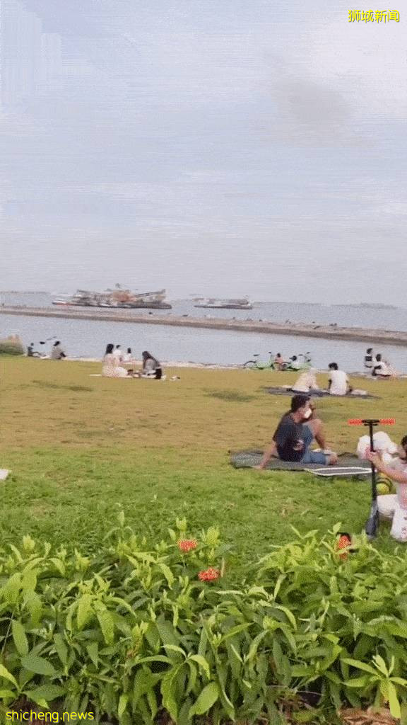 扎堆聚集、不戴口罩!新加坡封锁网红防波堤