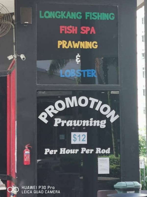 新加坡國民娛樂項目，養生釣蝦約不約？！盤點新加坡好玩的釣蝦場，周末走起吧