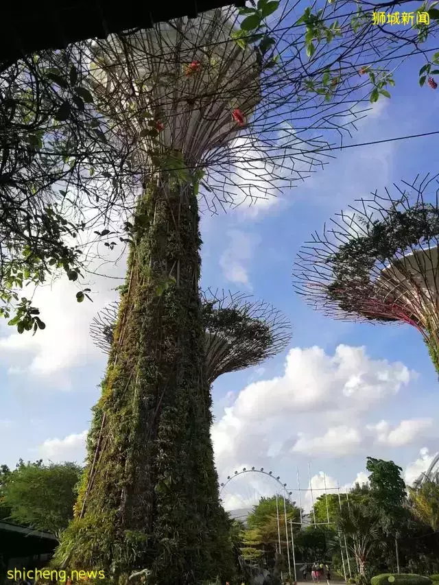 新加坡的历史,可以说是一部奋斗史