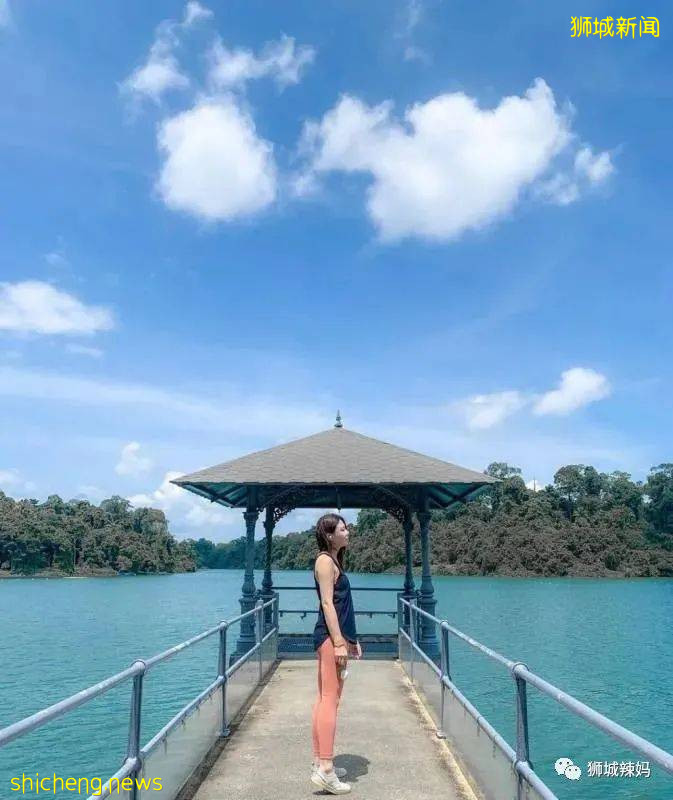 新加坡超火徒步路线!树梢吊桥、水映花树、长尾猴、松鼠、巨蜥,太美了