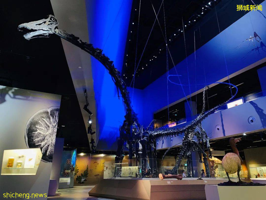 注意了！新加坡這7個地方，竟然有恐龍出沒