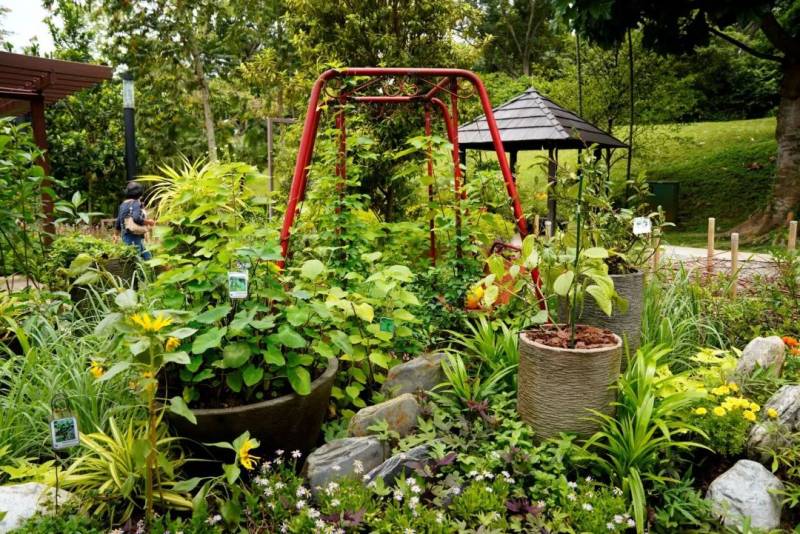 新加坡社区花园节10月24日开幕,超过30个免费活动线上登场