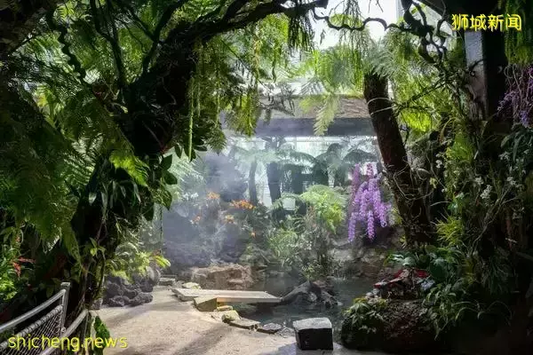 免費！新加坡排名第一的“家庭遊樂場”，竟然有這麽多項目我還沒玩過