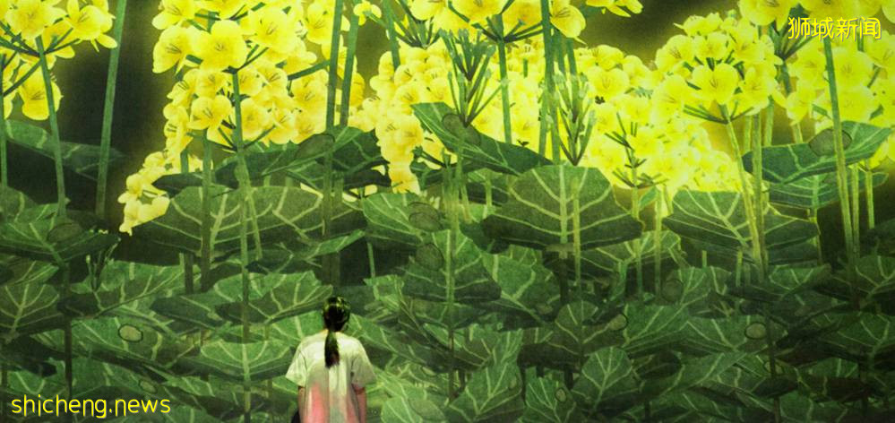 打卡攻略 新加坡5个推荐打卡的魅力博物馆,最后一个真的甜到齁鼻