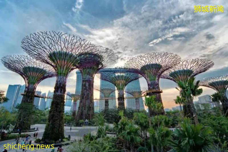 限時免費講座 | AEIS作文難？別慌，一場講座告訴你AEIS寫作高分技巧及命題趨勢!