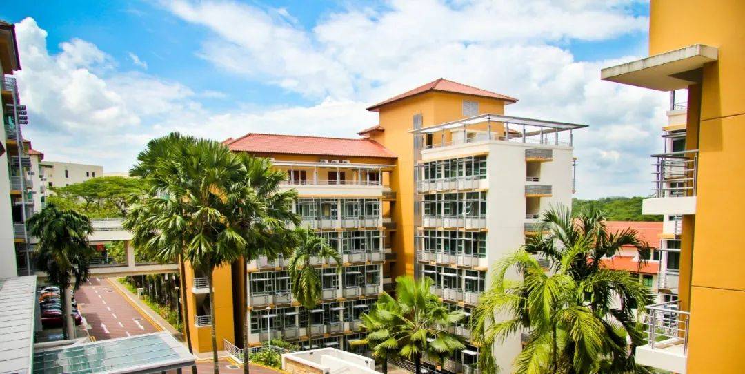 南洋理工大學，每一幀都很美