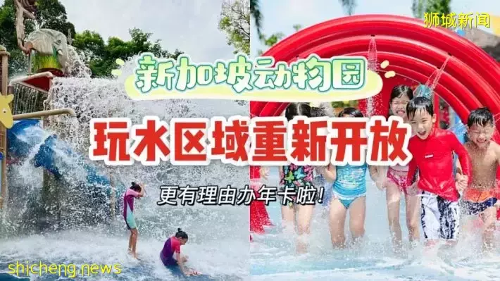 新加坡动物园玩水区重新开放，一站式看动物+玩水，遛娃完美路线