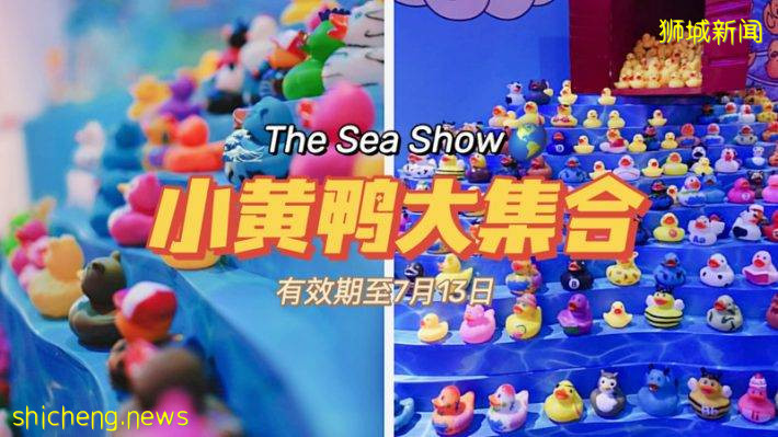 免费看展！The Sea Show正在进行中，超多艺术小黄鸭喊你来打卡