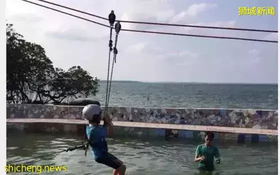 看起來每天都在玩，新加坡國際學校的娃們是怎麽學習的