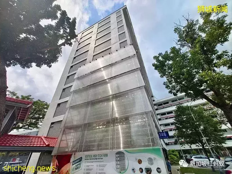 全球气温上升或影响食品进口 新加坡研发出耐旱“国产米”和快熟面