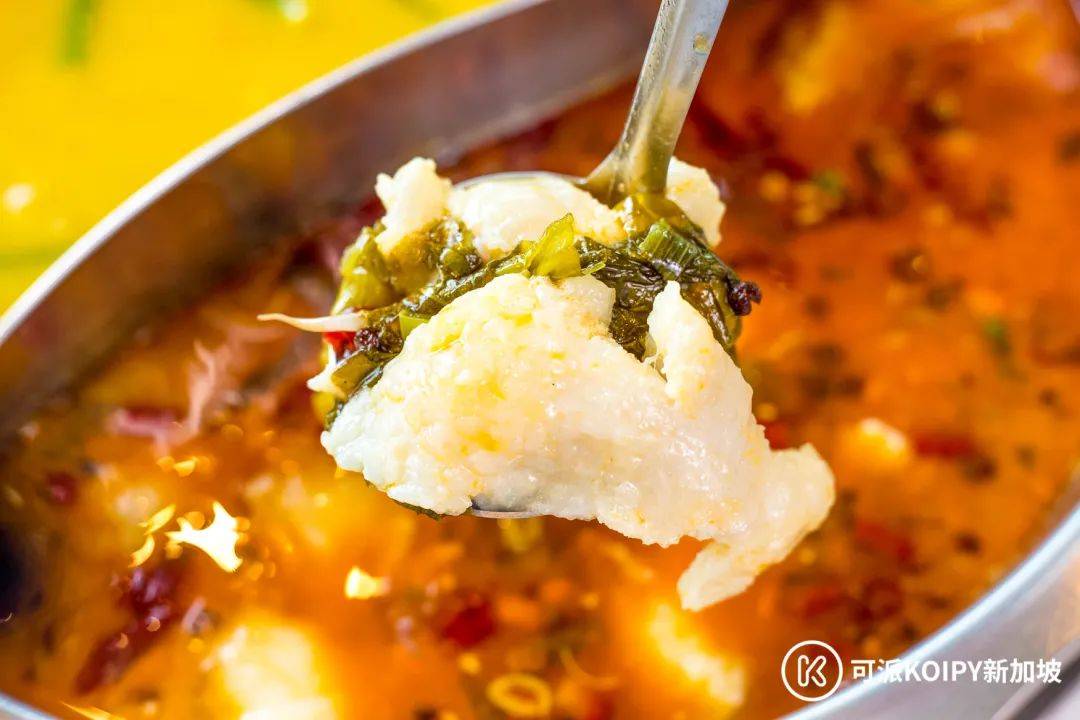 人均$20不到的火鍋+炒菜自助!任點任吃,吃到扶牆出