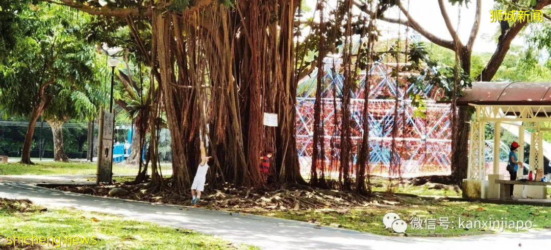 新加坡小众遛娃好去处,吃喝玩乐一应俱有