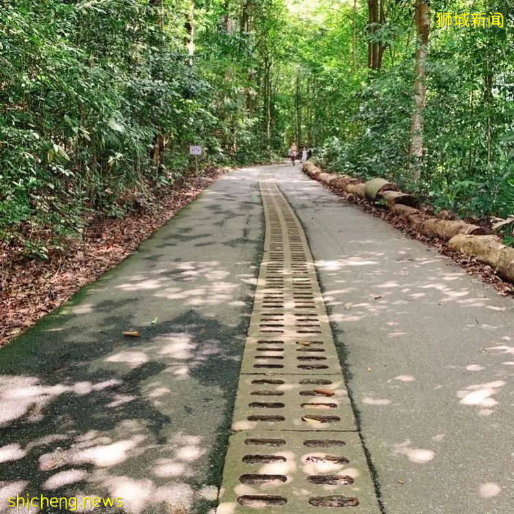 不能出国，坡里这些美食美景让你假装在国外