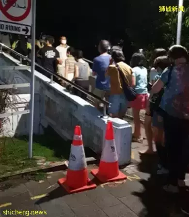 新加坡現“藍色螢光”海浪!這裏擠滿了人,沿路交通擁堵