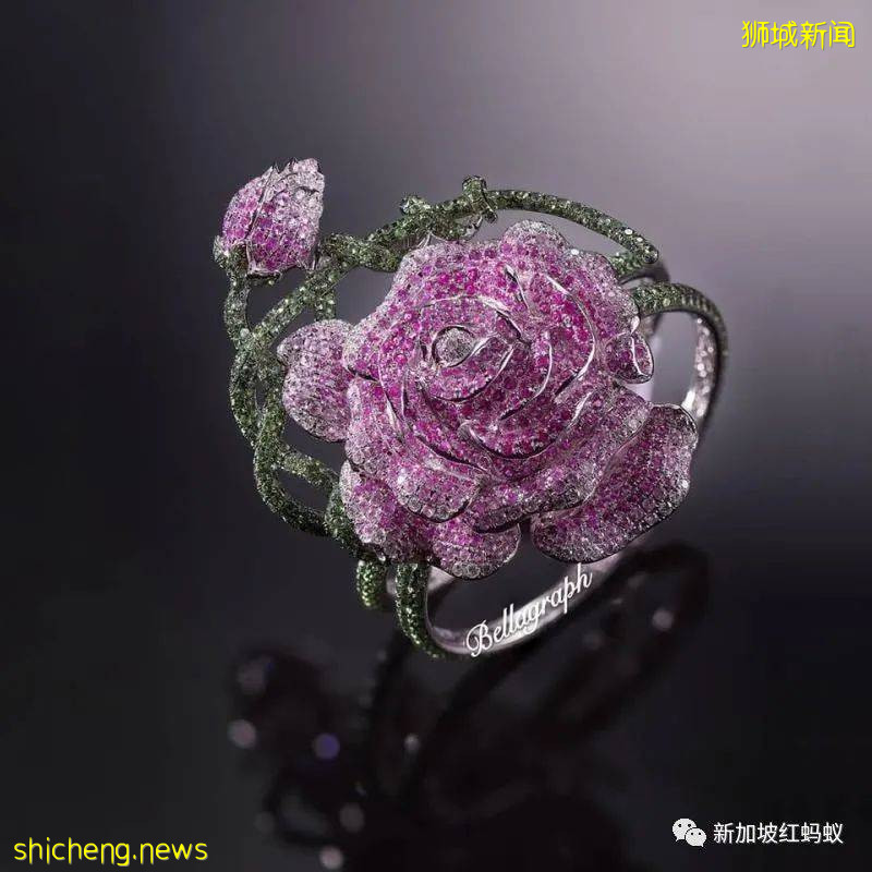 卷入收购英超球队风波的贝拉格夫维新集团,背后的中国美女主席什么来头