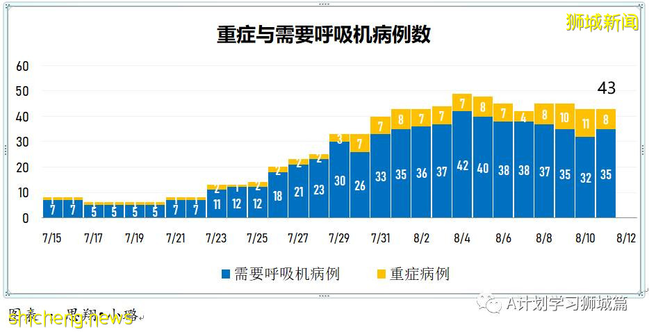 8月12日，新加坡疫情：新增59起，全是本土感染病例；又有三名學生確診冠病