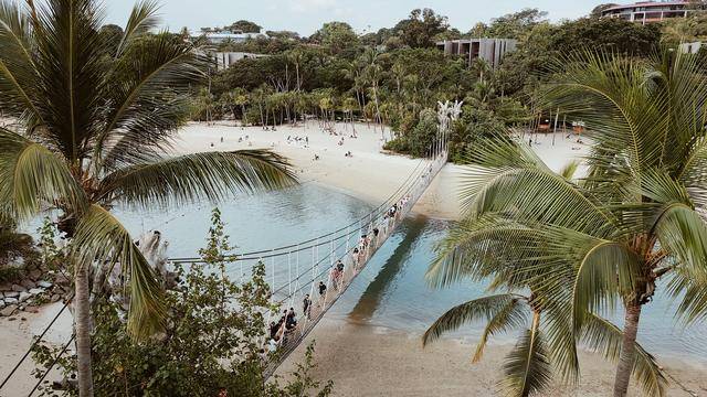 与新加坡有关的记忆，从发现隐秘世界开始