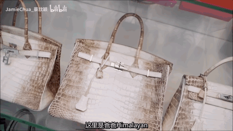 得不到的永远在骚动🤣 新加坡名媛开箱“超贵”衣帽间!Hermes包包装满屋💰