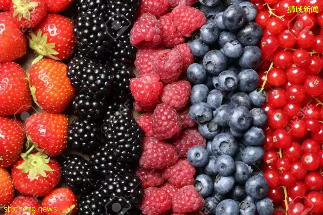 “減少泡泡茶店數量打擊糖尿病”引發全島熱議!新加坡網友:治標不治本