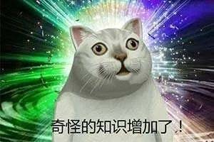 新加坡的中文表达,你看得懂吗