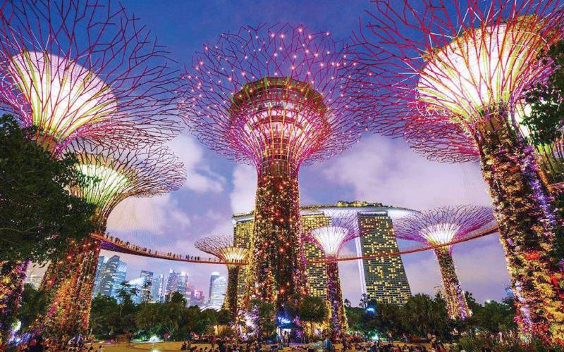 炫酷！滨海湾花园可以享受无人驾驶巴士服务啦