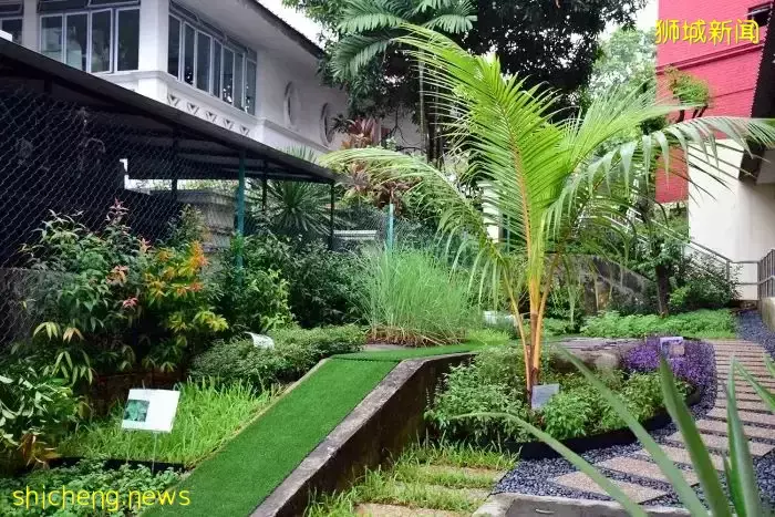 政府學校、私立學校、國際學校之外，新加坡還有一類特別的學校——新加坡教會學校