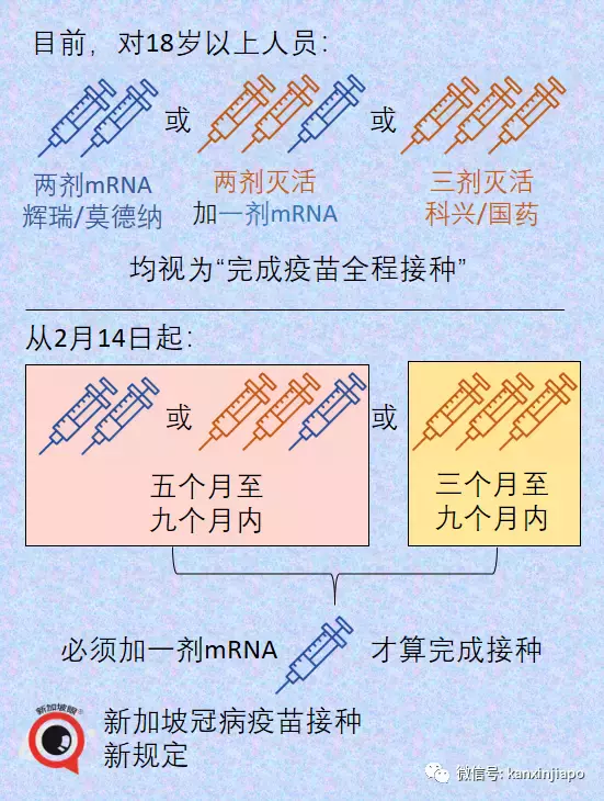 新加坡疫苗相關最全解析!出入境須知
